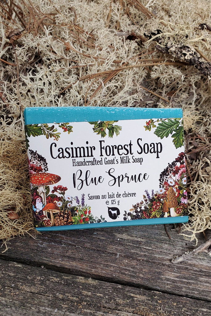 Blue Spruce